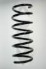 SPIDAN 48466 Coil Spring